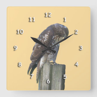 Carrée Horloge - Faucon sur la poste