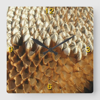 Carrée Horloge - Graines de tournesol