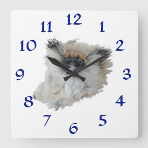 Carrée Horloge Pékinois