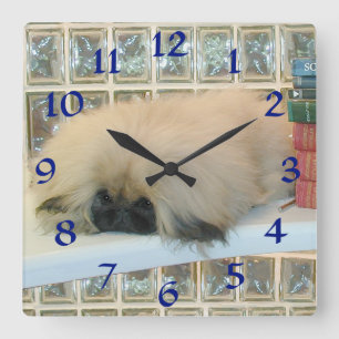 Carrée Horloge Pékinois