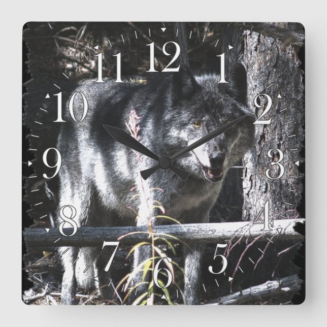 Carrée Horloge photo Gray Wolf & Forest (Recto)