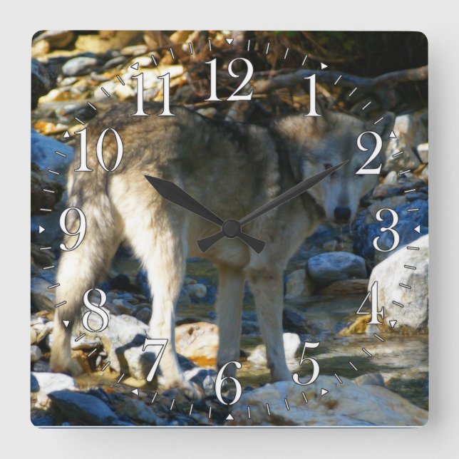 Carrée Horloge photo Gray Wolf & Stony Creek (Recto)