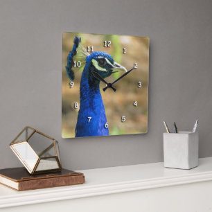 Carrée Horloge - Portrait de Peacock