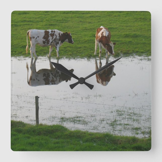 Carrée Horloge Réflexion des vaches (Recto)