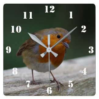 Carrée Horloge Robin