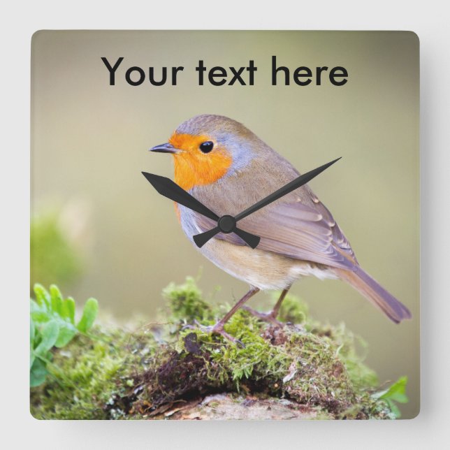 Carrée horloge Robin personnalisable ajouter votre propre (Recto)