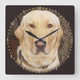 Carrée Horloge ronde jaune élégante Labrador