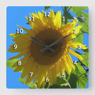 Carrée Horloge - Tournesol