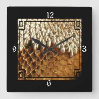 Carrée Horloge - Tournesol séché dans le cadre