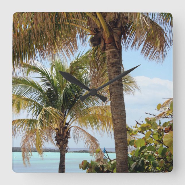 Carrée Horloge tropicale de l'île (Recto)