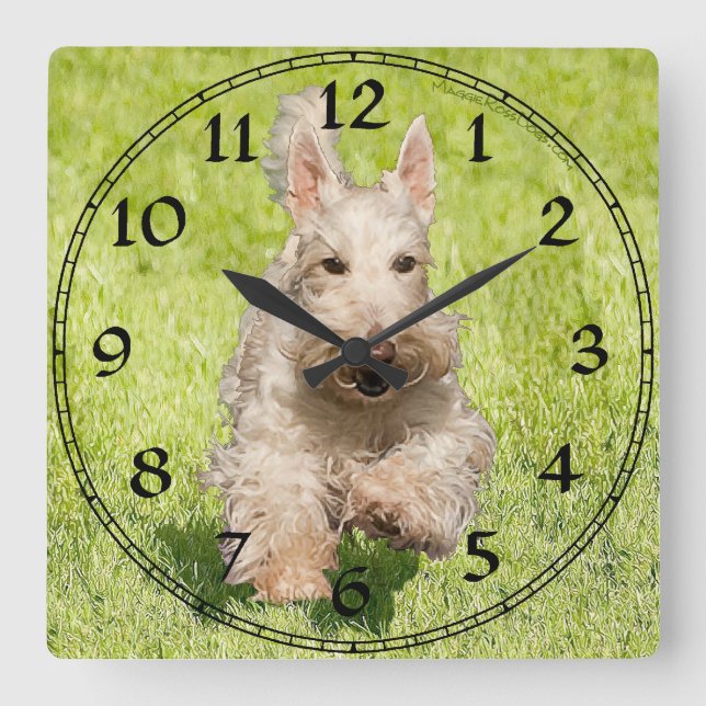 Carrée Horloge Wheaten Scottish Terrier (Recto)