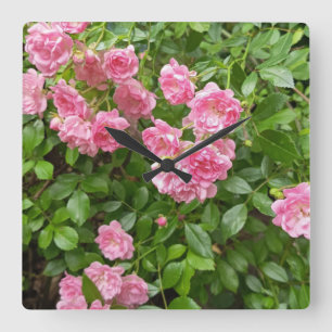 Carrée Jardin de roses roses Horloge florale