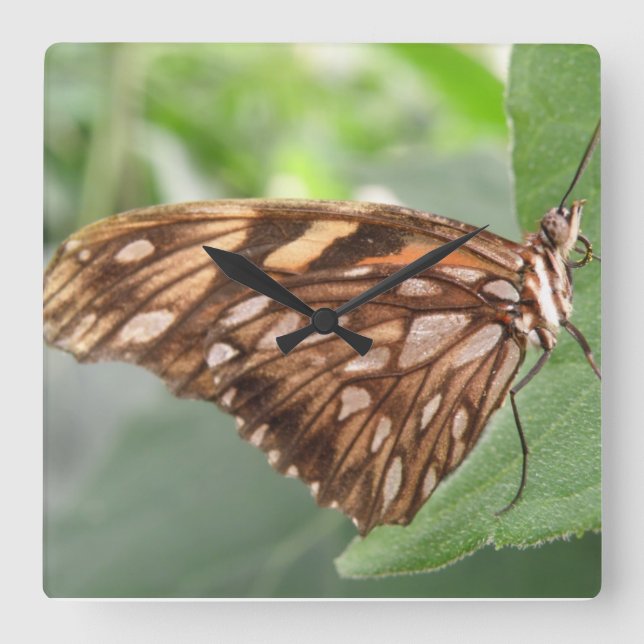 Carrée Jolie horloge Brown papillon (Recto)