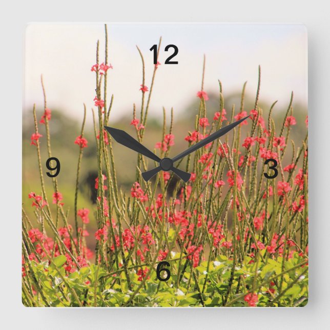 Carrée Jolie horloge de fleurs de jardin (Recto)