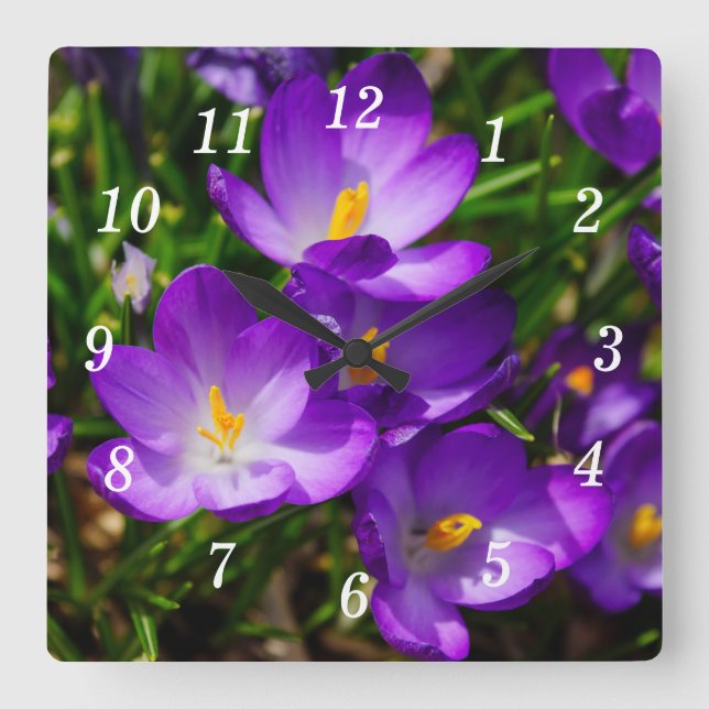 Carrée Lilac Croque Horloge Mur (Recto)