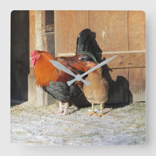Carrée Poule et Coq Horloge de Cuisine Rustique de Poulet