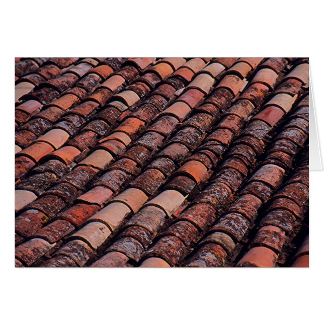 CARRELAGE SUR LE TOIT DU BÂTIMENT EUROPÉEN (Devant Horizontal)