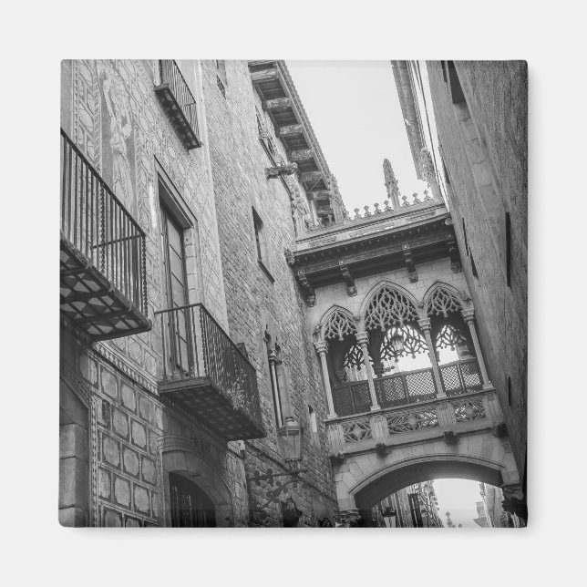 Carrer del Bisbe Magnet : Barcelone (Devant)