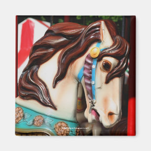 Carrousel à vapeur silencieux Magnet de photograph