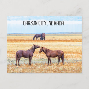 Carson City Nevada Souvenir Carte postale Chevaux
