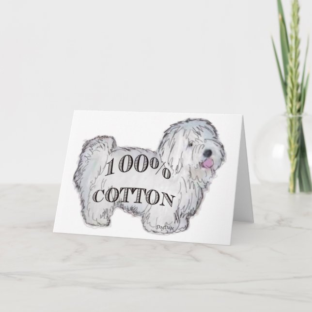 Carte 100% Cotton (Devant)