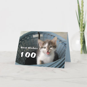 Carte 100e anniversaire Crazy Kitten