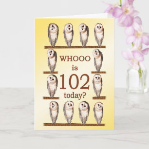 Carte 102e anniversaire, Chouettes curieuses