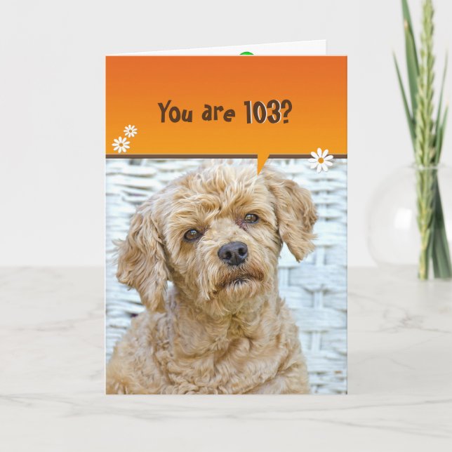 Carte 103e anniversaire brun caniche en osier (Devant)
