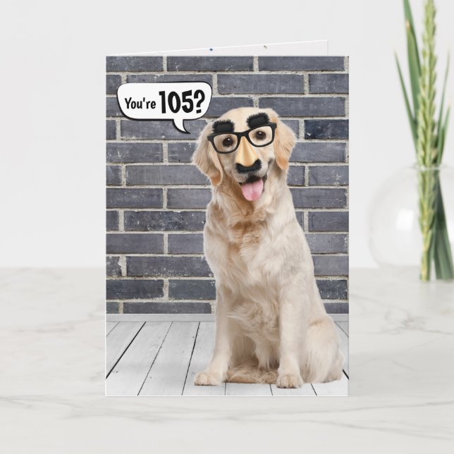 Carte 105e anniversaire Funny Golden Retriever Card (Devant)
