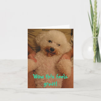 Carte 110-1042_IMG, Wow, c'est super !