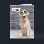 Carte 11e anniversaire Funny Golden Retriever Card<br><div class="desc">Un récupérateur d'or portant un drôle de masque de moustache sur un mur en brique grise et le parquet avec bulle vocale pour le 11ème anniversaire. Peut être changé pour n'importe quel âge d'anniversaire. Le texte et le nom sont modifiables.</div>