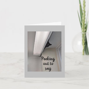 Carte *12e* À PARTIR D'UNE CUISINE CACHANTE JUSTE POUR V