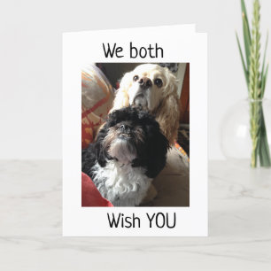 Carte 12ème" SOUHAITS D'ANNIVERSAIRE DES DEUX CHIENS AMÉ