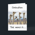 CARTE **13** VOUS ÊTES MAINTENANT ADOLESCENT **GRANDSON*<br><div class="desc">JEUX ANNIVERSAIRE ***GRANDSON**** MERCI D'AVOIR ARRÊTÉ PAR L'UN DE MES HUIT MAGASINS !</div>