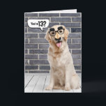 Carte 13e anniversaire Funny Golden Retriever Card<br><div class="desc">Un récupérateur d'or portant un drôle de masque de moustache sur un mur en brique grise et le parquet avec bulle vocale pour 13ème anniversaire. Peut être changé pour n'importe quel âge d'anniversaire. Le texte est modifiable.</div>