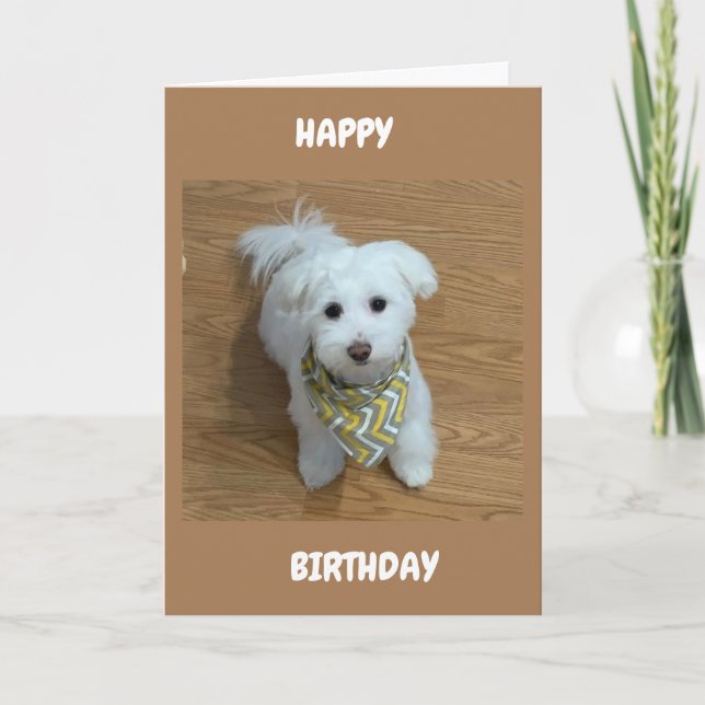 Carte ***16e ANNIVERSAIRE****UN NOUVEAU CONDUCTEUR BIENT (Devant)