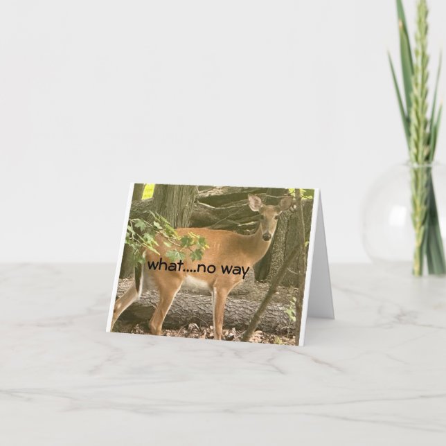 Carte **16e** SOUHAITS D'ANNIVERSAIRE DE CERFS ASTONISÉS (Devant)