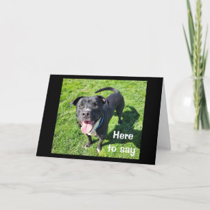 Carte **16ème anniversaire** HUMOUR D'UN CHIEN COOL