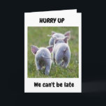 Carte **16th BIRTHDAY** FROM RUNAWAY FUN LOVING PIGS<br><div class="desc">I LOVED TAKING THIS PHOTO AND MAKING THIS CARD FOR I "KNOW" SOMEONE OUT THERE IS GOING TO "LOVE IT TOO" AND I HOPE YOU DO ENOUGH TO SEND OR GIVE IT TO A FRIEND OR FAMILY MEMBER :)</div>