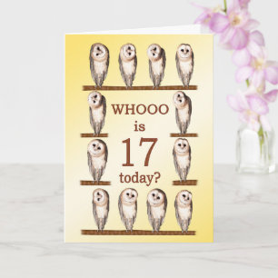 Carte 17e anniversaire, Chouettes curieuses
