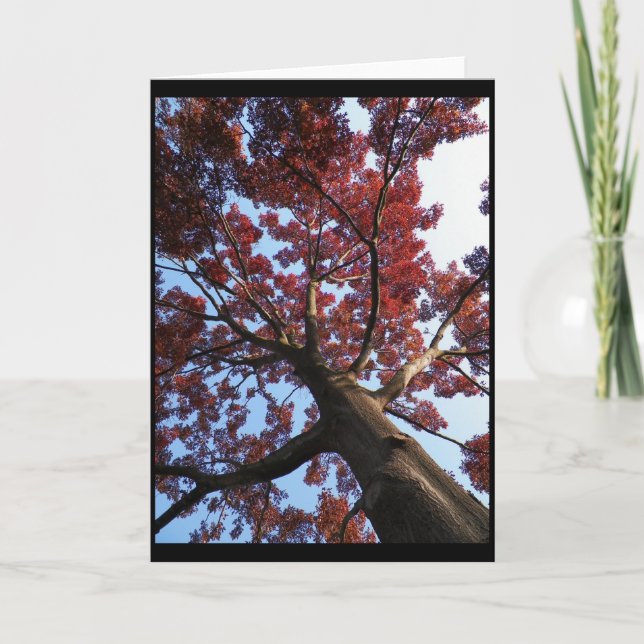 Carte ~ 18 d'automne (Devant)