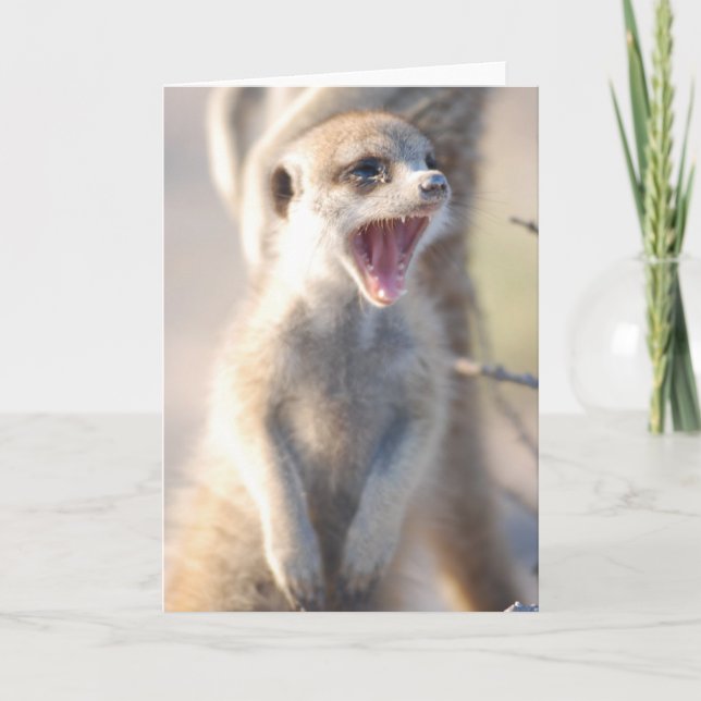 Carte 18 de KMP - pépite de baîllement (Devant)