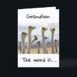 CARTE **18** VOUS ÊTES MAINTENANT ADOLESCENT **GRANDSON*<br><div class="desc">JEUX ANNIVERSAIRE ***GRANDSON**** MERCI D'AVOIR ARRÊTÉ PAR L'UN DE MES HUIT MAGASINS !</div>