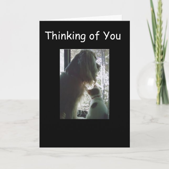 Carte **18e ANNIVERSAIRE** de DEUX PETITS ANIMAUX ! Cart (Devant)