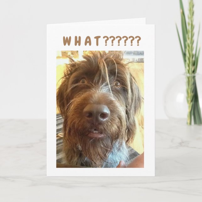 Carte *18e ANNIVERSAIRE* DE GRIFFON Card (Devant)