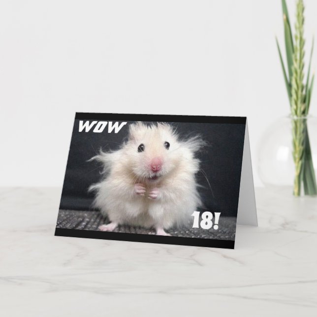 Carte ***18e ANNIVERSAIRE SOUHAITS*** W0W CHEVEUX EST EN (Devant)