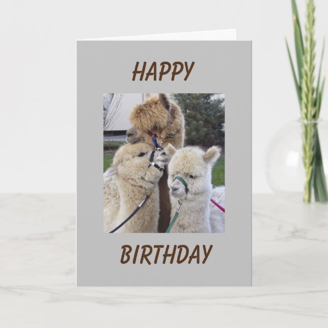 Carte **18e** SOUHAITS D'ANNIVERSAIRE - SPÉCIAL POUR LA  (Devant)