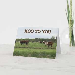 CARTE **21E ANNIVERSAIRE** MOO À VOUS DIT VACHES