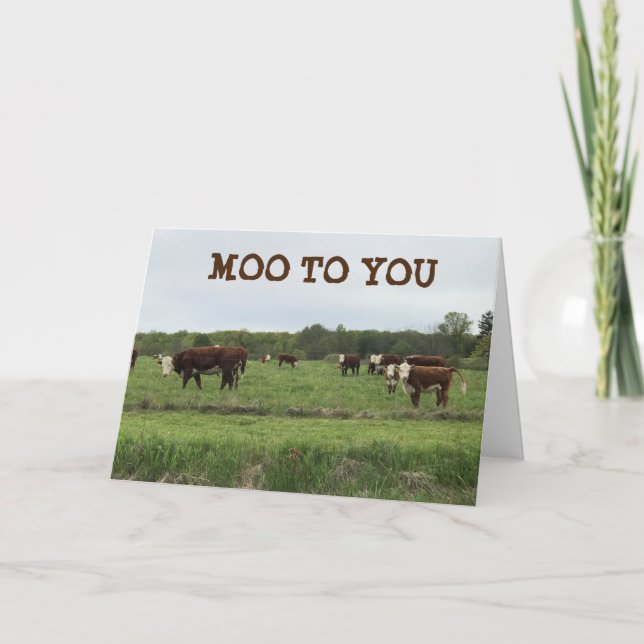 CARTE **21E ANNIVERSAIRE** MOO À VOUS DIT VACHES (Devant)
