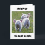 Carte **21st BIRTHDAY** FROM RUNAWAY FUN LOVING PIGS<br><div class="desc">I LOVED TAKING THIS PHOTO AND MAKING THIS CARD FOR I "KNOW" SOMEONE OUT THERE IS GOING TO "LOVE IT TOO" AND I HOPE YOU DO ENOUGH TO SEND OR GIVE IT TO A FRIEND OR FAMILY MEMBER :)</div>